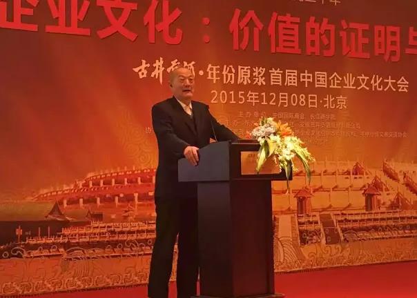 全國政協(xié)副主席、著名經(jīng)濟學(xué)家厲無畏發(fā)表重要講話.jpg